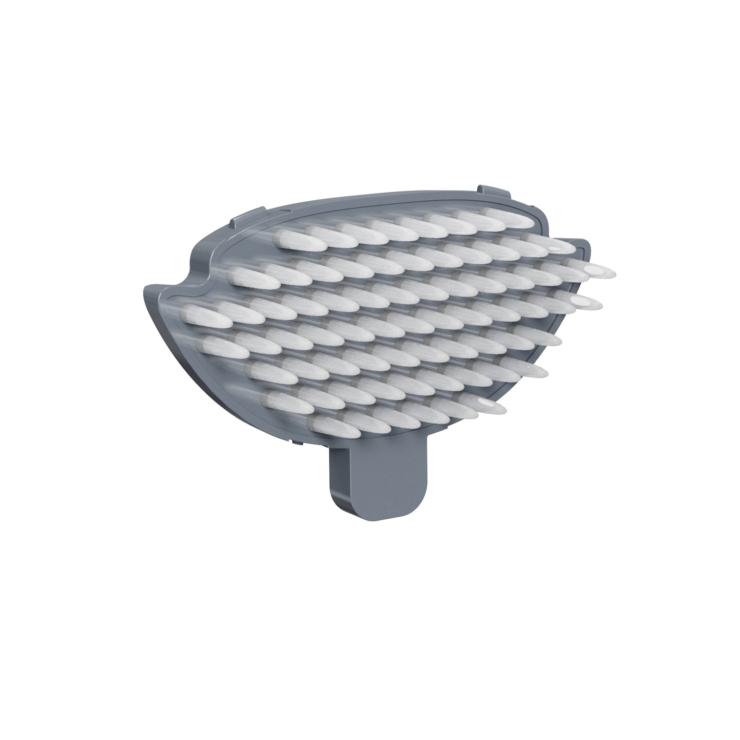 Brush for C2